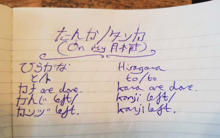 78264148_457780528180953_5307534393269551104_n